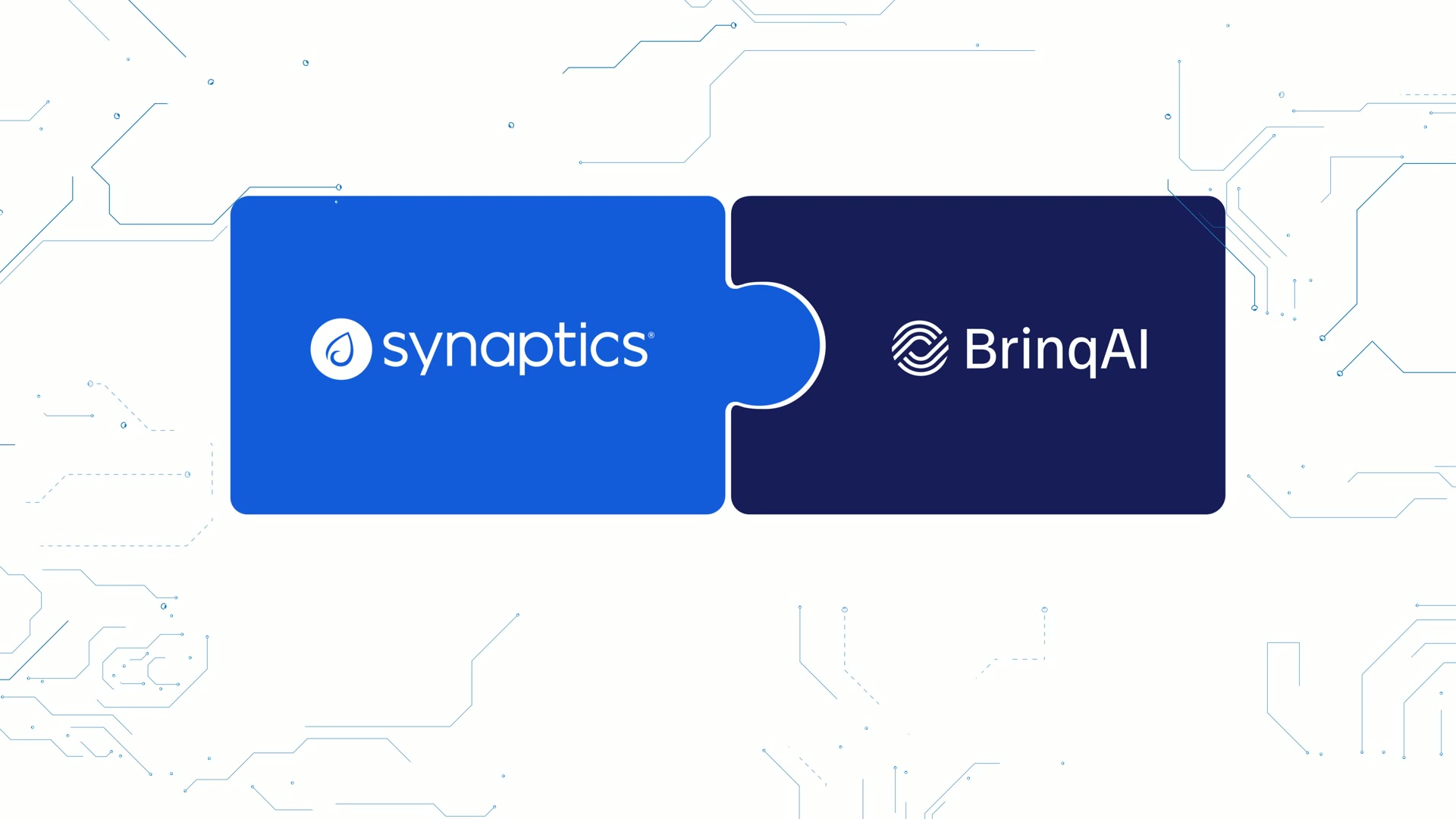 BrinqAI + Synaptics: fractional data science at the edge
